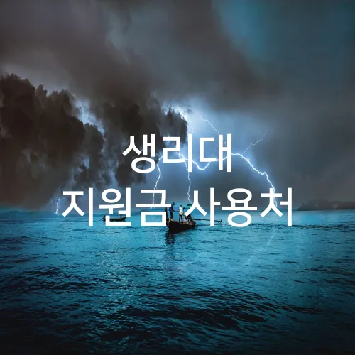 생리대 지원금 사용처