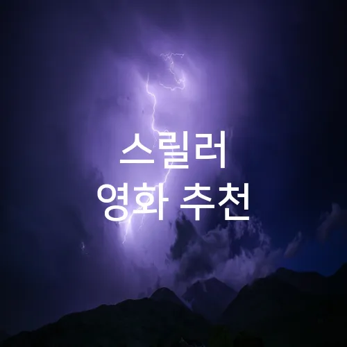 스릴러 영화 추천