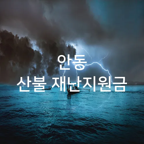 안동 산불 재난지원금