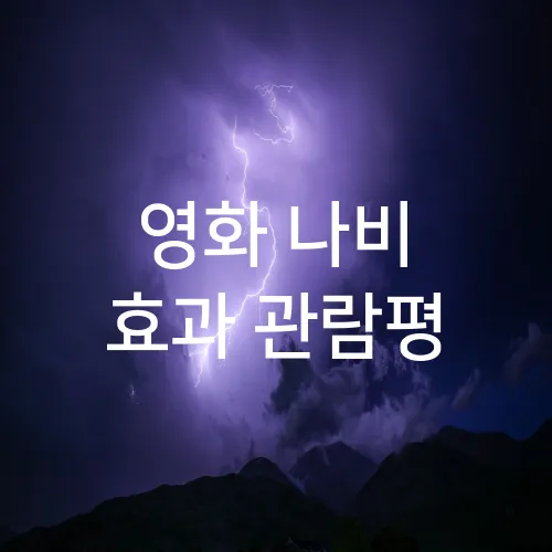 영화 나비 효과 관람평
