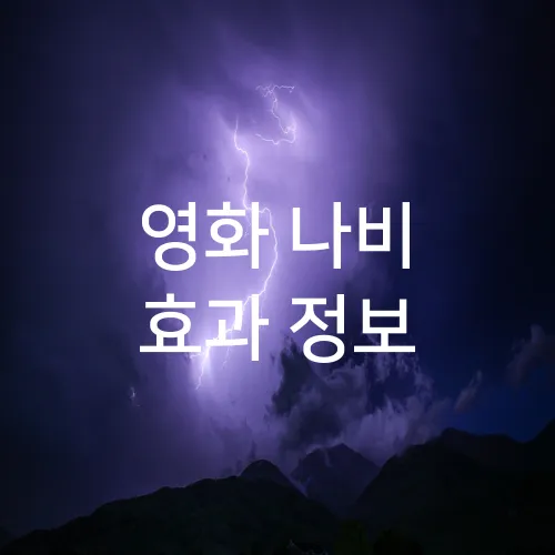 영화 나비 효과 정보