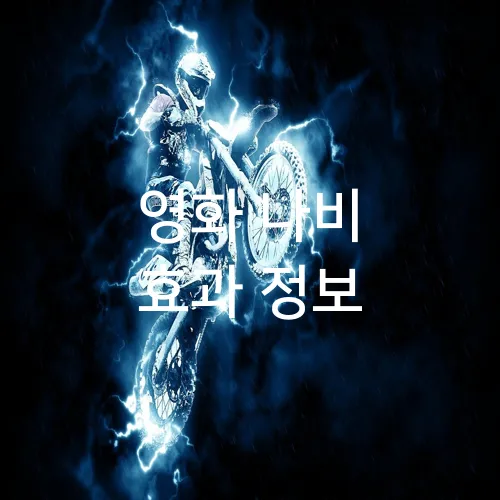 영화 나비 효과 정보
