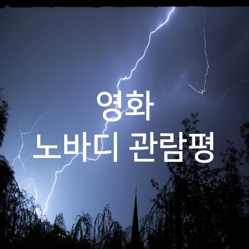 영화 노바디 관람평
