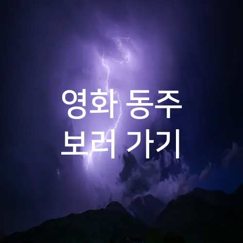 영화 동주 보러 가기