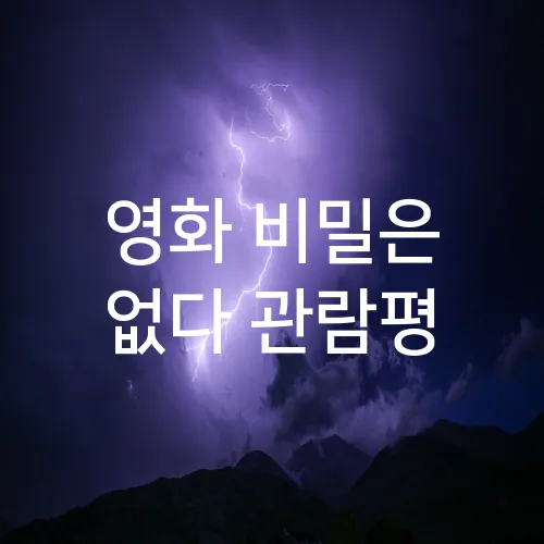영화 비밀은 없다 관람평
