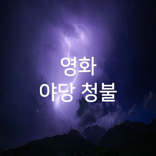 영화 야당 청불
