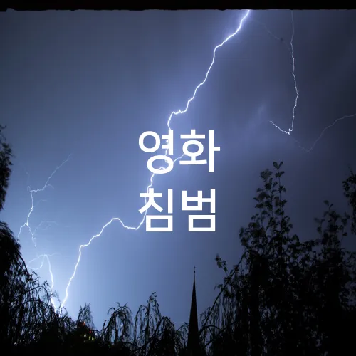 영화 침범