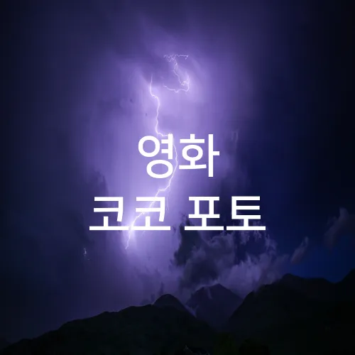영화 코코 포토