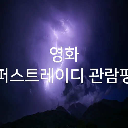 영화 퍼스트레이디 관람평