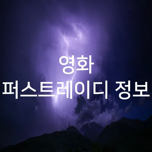 영화 퍼스트레이디 정보