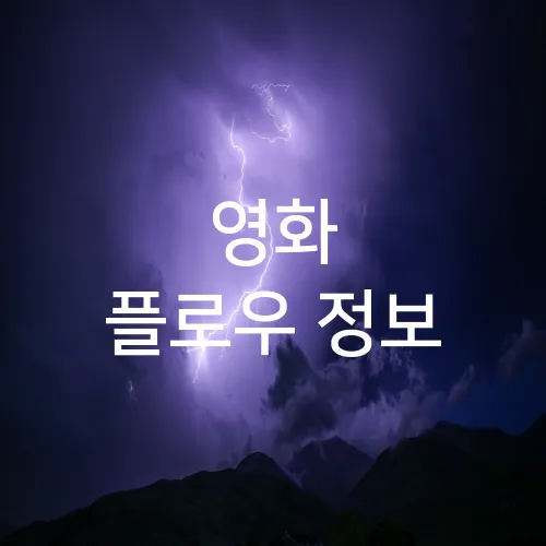 영화 플로우 정보