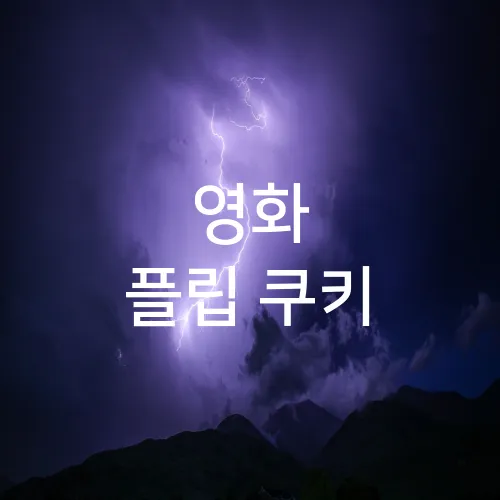 영화 플립 쿠키