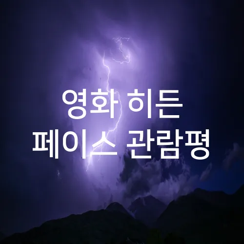 영화 히든 페이스 관람평