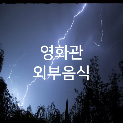 영화관 외부음식