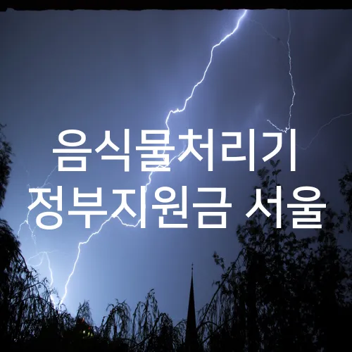 음식물처리기 정부지원금 서울