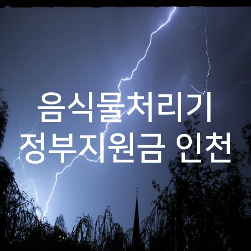 음식물처리기 정부지원금 인천