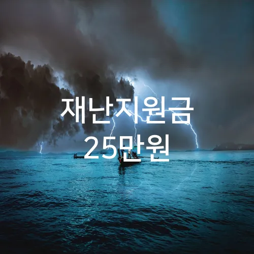 재난지원금 25만원