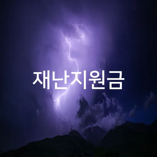 재난지원금