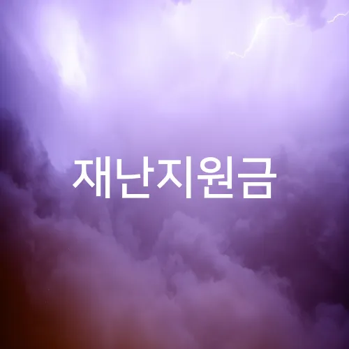 재난지원금