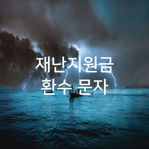 재난지원금 환수 문자