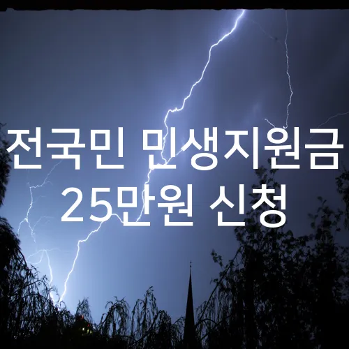 전국민 민생지원금 25만원 신청