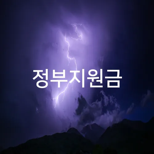 정부지원금