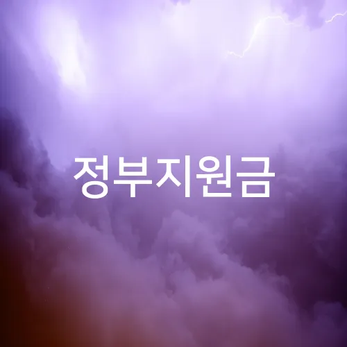 정부지원금