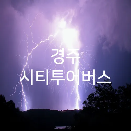 경주 시티투어버스