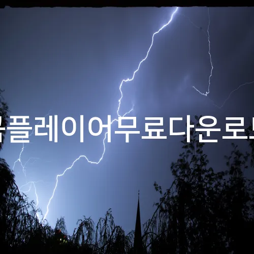 곰플레이어무료다운로드
