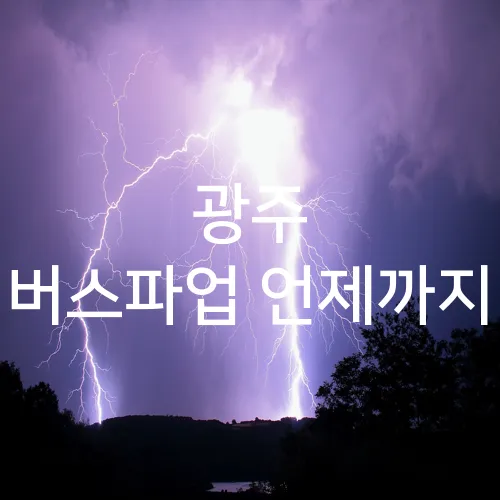 광주 버스파업 언제까지