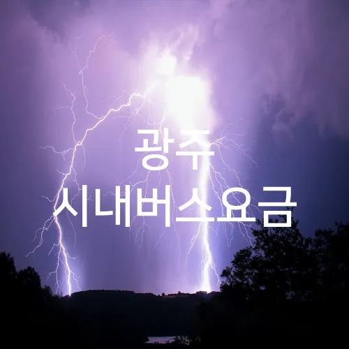 광주 시내버스요금