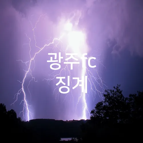 광주fc 징계