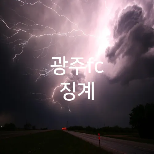 광주fc 징계