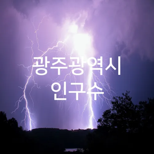 광주광역시 인구수