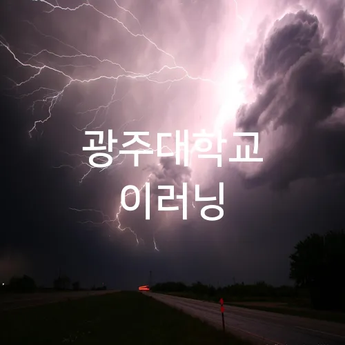 광주대학교 이러닝
