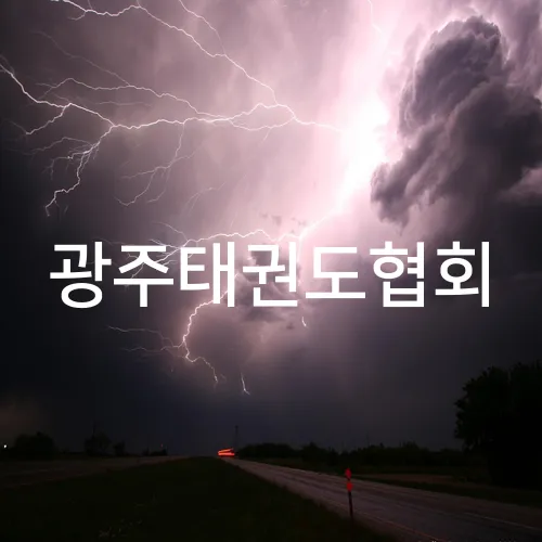 광주태권도협회