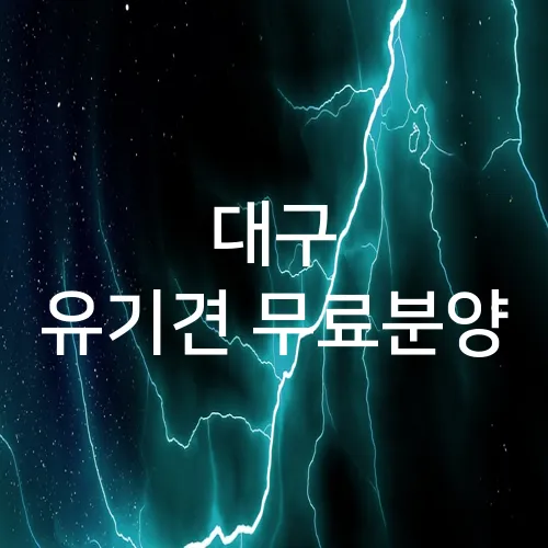 대구 유기견 무료분양