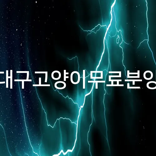 대구고양이무료분양