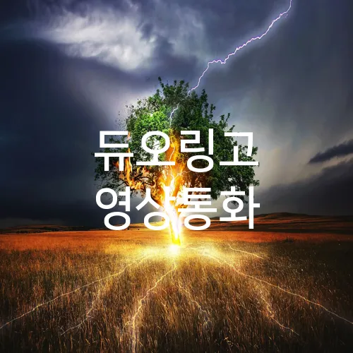 듀오링고 영상통화