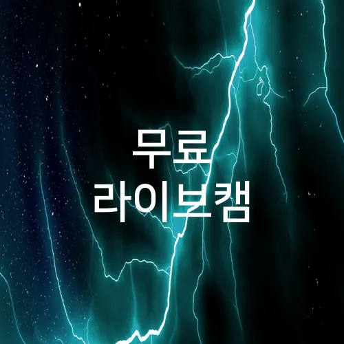 무료 라이브캠