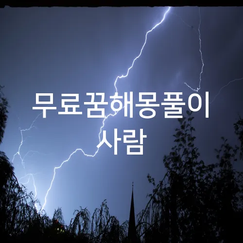 무료꿈해몽풀이 사람