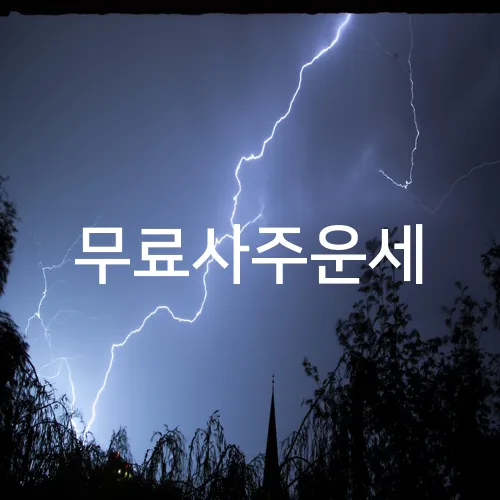 무료사주운세