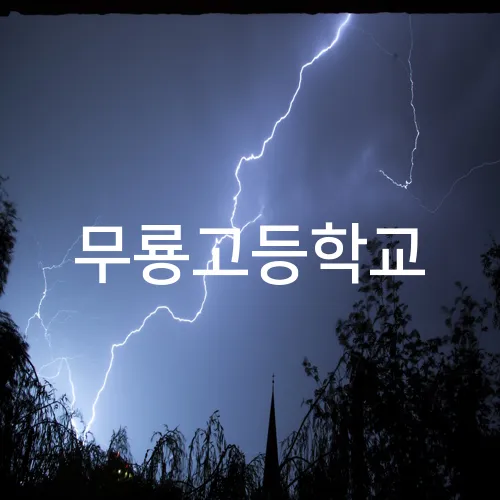 무룡고등학교
