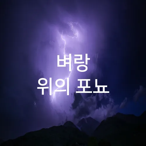 벼랑 위의 포뇨