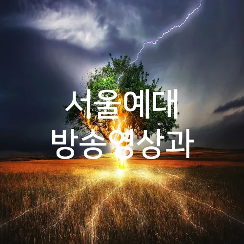 서울예대 방송영상과