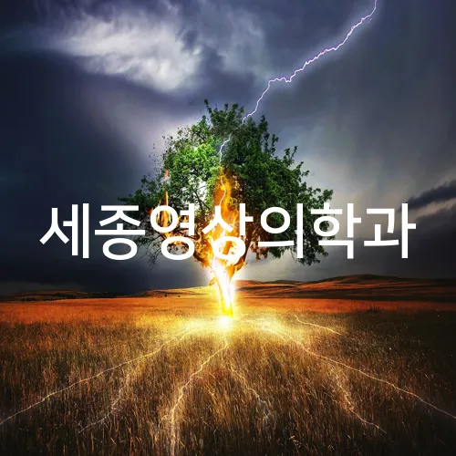세종영상의학과