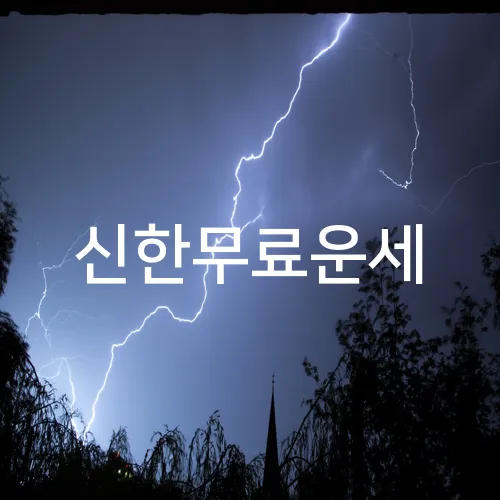 신한무료운세
