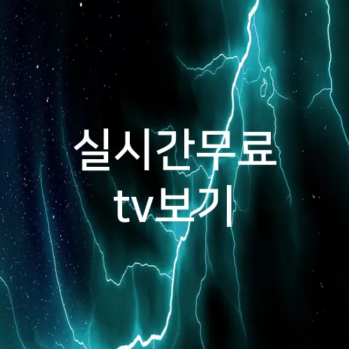실시간무료 tv보기