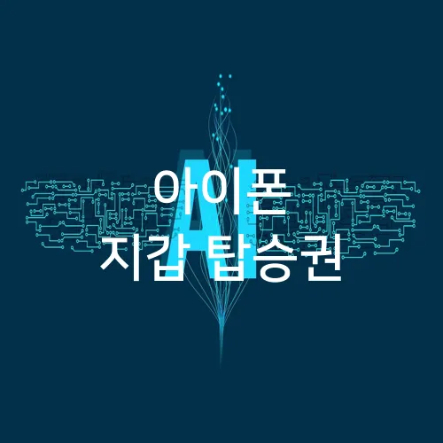 아이폰 지갑 탑승권