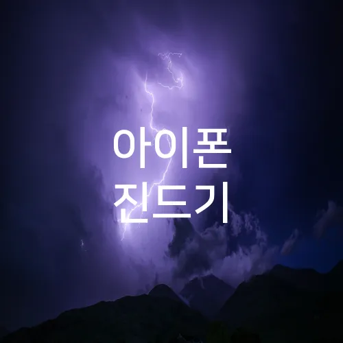 아이폰 진드기